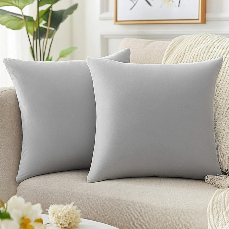Ensemble de 2 coussins décoratifs printaniers pour canapé-lit, Gris clair
