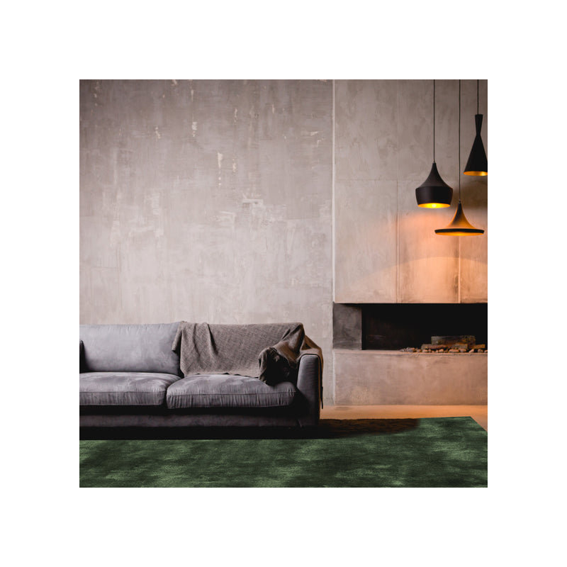 Tapis tissé à plat à contrôle au sol, Tapis de couloir 1 pi x 2 pi