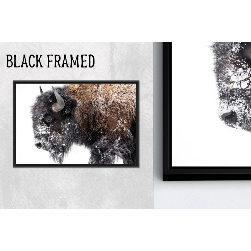 Élégante reproduction sur toile de bison: American Wildlife Wall Art Decor, 1P BlackFramedCanves, H : 47,3 x L : 102,4 pouces