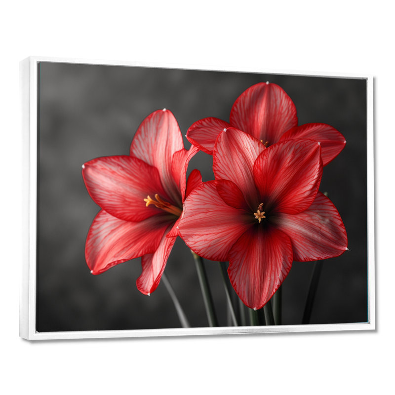 Décorations murales - Jonquilles, White Picture Framed, H 12 po x l 20 po