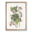 Black & Yellow Warbler Birds by John James Audubon - Picture Frame Painting Print-55512620-55512621