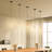 Raquael 1 - Light Black Single Pendant Lighting