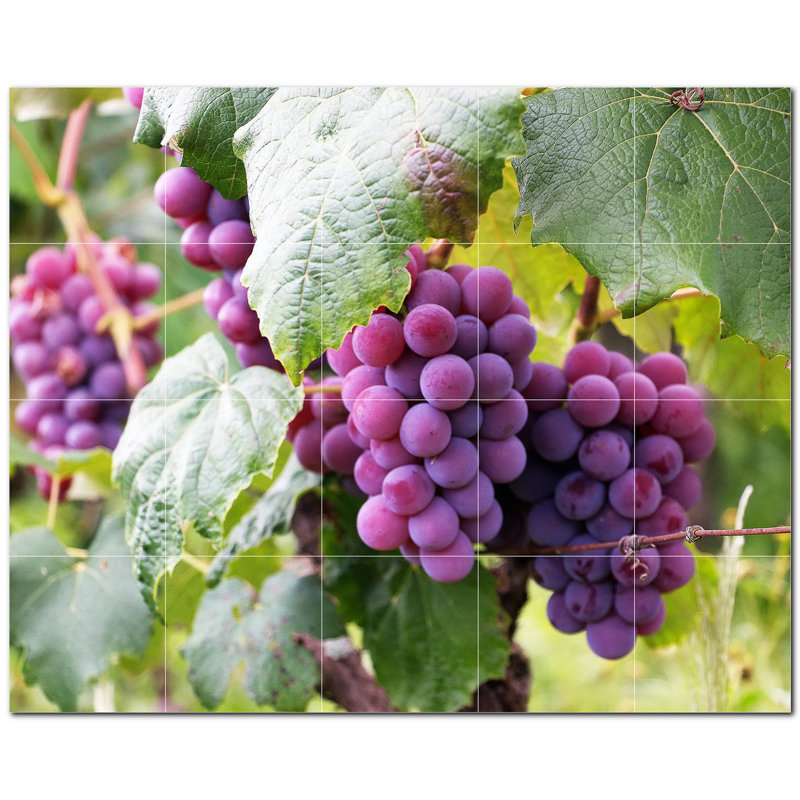 Vin Photo 6 x 6