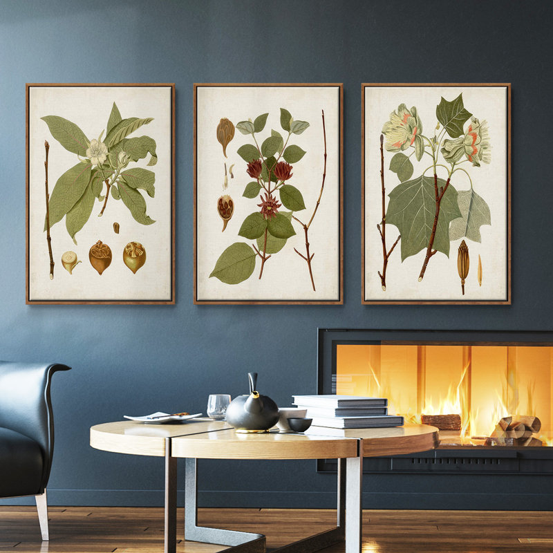 Gould Tropical Birds IV, ensemble de 3 toiles encadrées sur toile, Cadre noyer, H 27 po x l 54 po