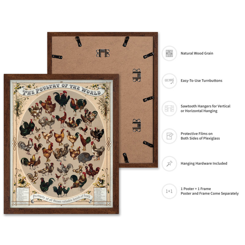 Volaille du monde, 18"H x 24"W, Poster, Brown Framed
