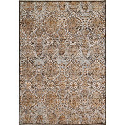 Oriental Indoor Rug