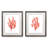 Coral Kelp I - Antique Nautical Study, Matted and Framed Under Acrylic Glass, Set of 2, Coastal Wall Art for Living Room