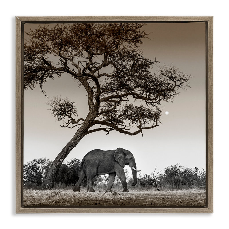 Elephant & Curved Desert Tree, 18" H x 18" W, Montalcino Elm Floater Frame