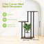 Plant Stand-1324483768
