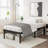 14 inch King Black Metal Platform Bed Frames, No Box Spring Need-245217696-258870202