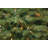North Valley Spruce Tree with Power Connect and Dual Color LED Lights-1007545475