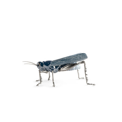 Grasshopper
