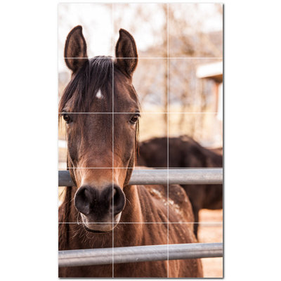 Photo de cheval 12 x 12