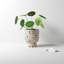 Ennis Handmade Planter