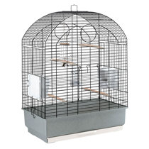 Hanging Bird Cages You'll Love