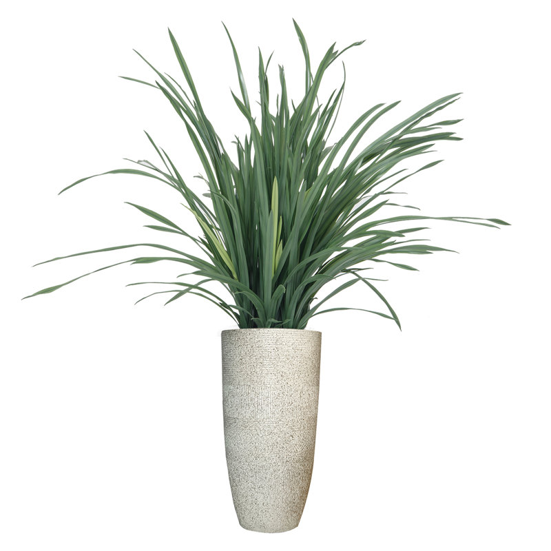 50 po citronnelle artificielle en pot