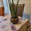 Photos des clients 1 de 1
