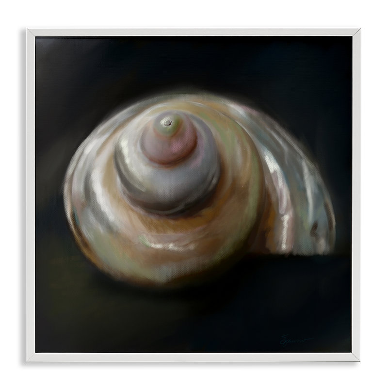 «Swirled Seashell Sea Treasure», estampe numérique, conception de Mary Sparrow, H 12 po x l 12 po