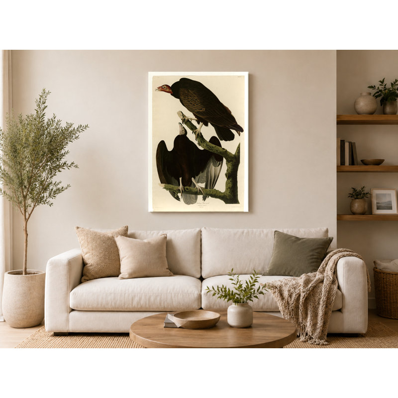 Dinde turque (plaque, 1827-1838) - art mural sur toile Portrait, 20" W x 16" H