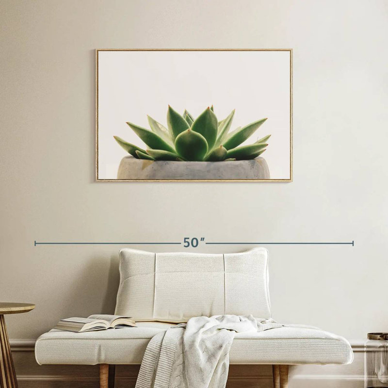 Plante grasse en pierre, Cadre flottant en bois naturel, 37 po x 25 po