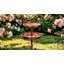 Iron Birdbath