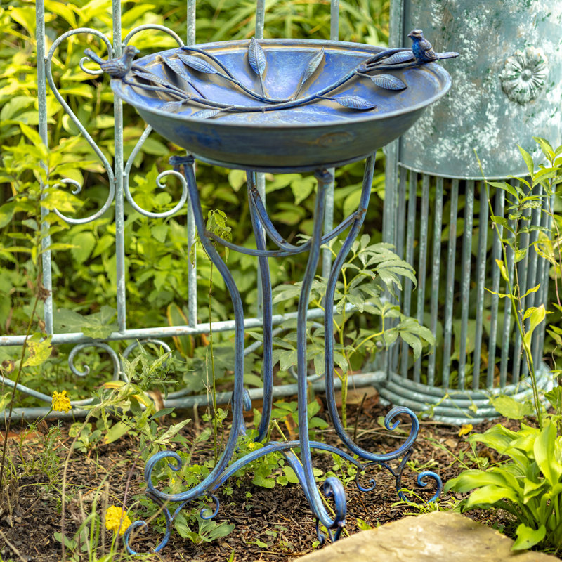 Bain d'oiseaux Delaporte, Bleu givré