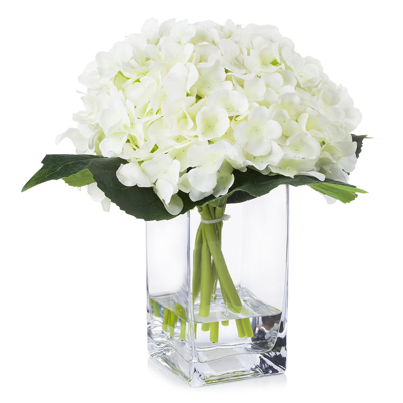 Arrangement floral d'hortensias dans un vase, Crème