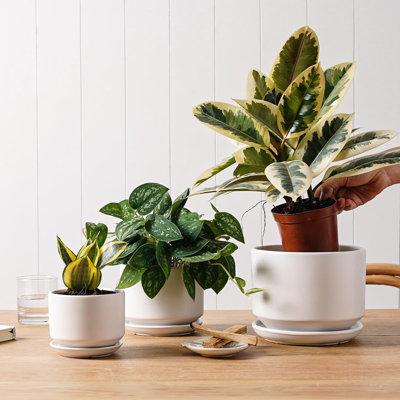 Pots à plantes en céramique avec trou de drainage et sauce
