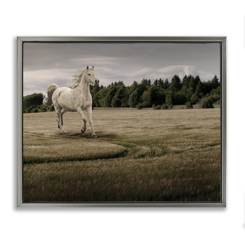 Cadre flottant au galop à cheval, design par Marcus Prime, Cadre flottant gris lustré, H 17 po x l 21 po