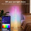 61" LED Novelty Floor Lamp
