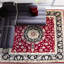 Oriental Area Rug-1682477668