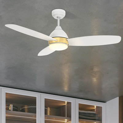 Ekamjeet 48'' Ceiling Fan with LED Lights