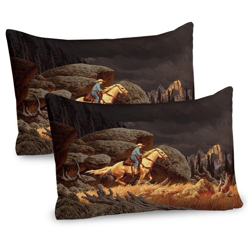Ensemble de 2 taies décoratives Ambesonne Western, H 20 po x l 36 po