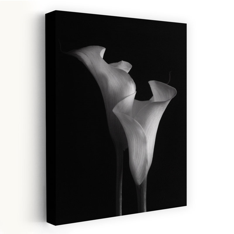 Élégant lys Calla classique délicat et élégant fleur de lis nature, H 18 po x l 12 po