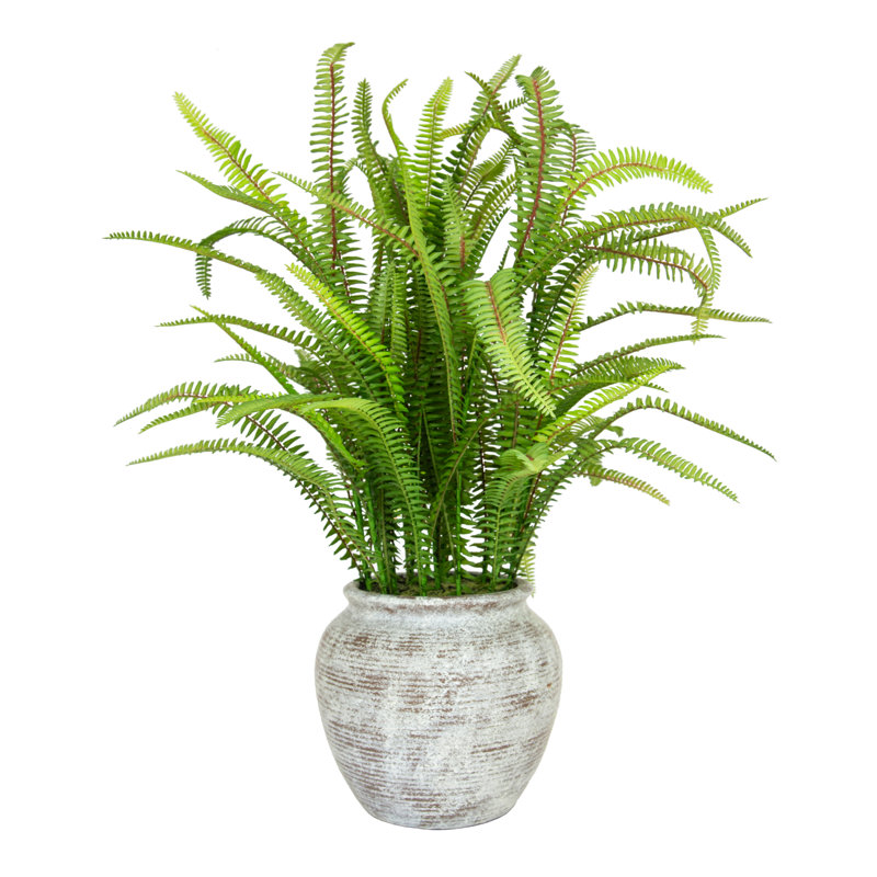 62cm Faux Fern Plant in Composite Planter
