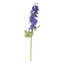 Delphinium - 35.5 Inches Box of 12-856190676