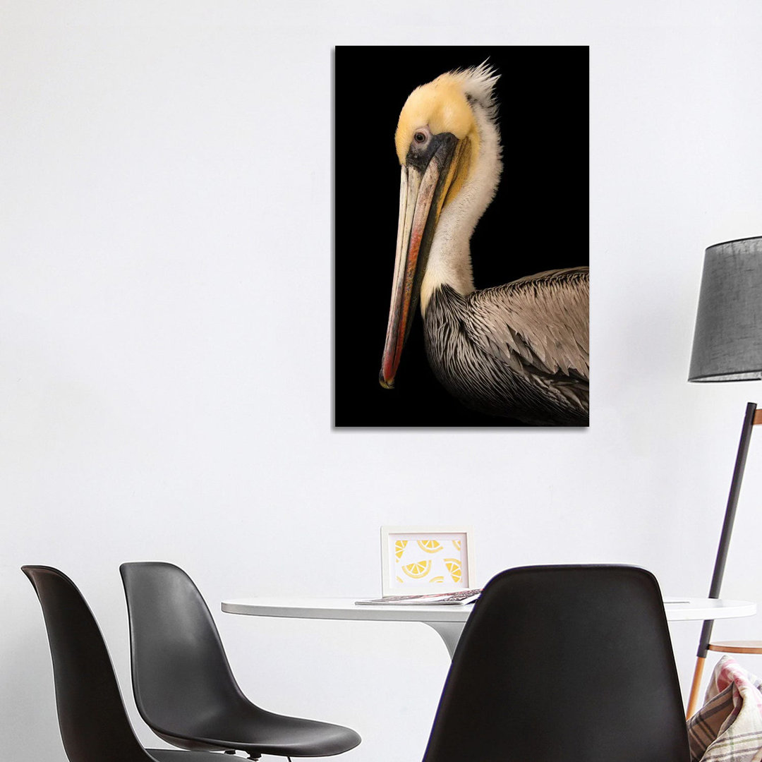 Ein brauner Pelikan im Santa Barbara Wildlife Care Network von Joel Sartore - Galerie-verpackte Leinwand Giclée auf Lein...