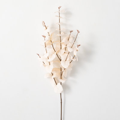Eucalyptus Sprays