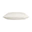 Velvet Square Pillow Cover & Insert-1520923390