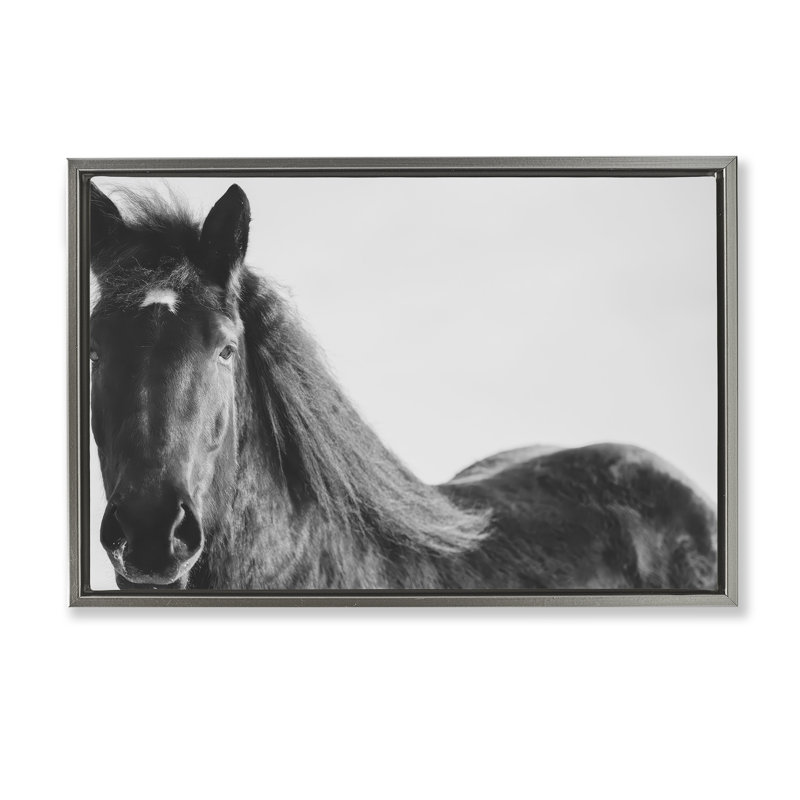Cheval noir dans un cadre flottant d'hiver, design par Amy Carroll, H 17 po x l 25 po, Cadre flottant gris lustré