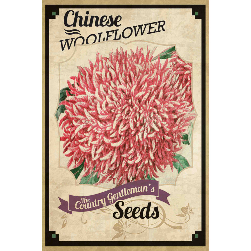 Flower Packet Woolflower - Wrapped Canvas Print, 61 cm H x 41 cm W