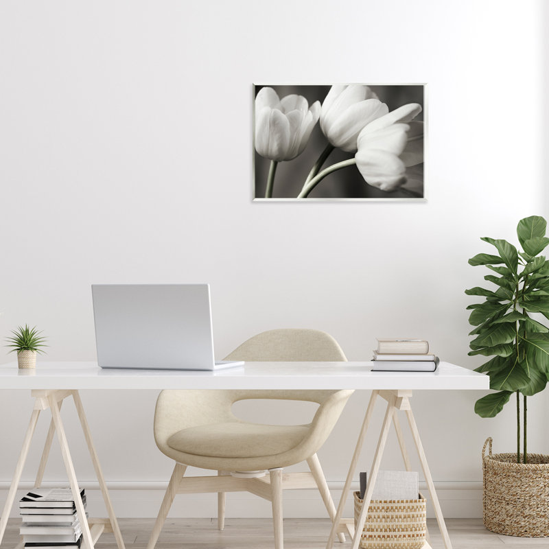 Rangée de plaques murales tulipes monochromes, design par Tom Quartermaine, H 10 po x l 15 po