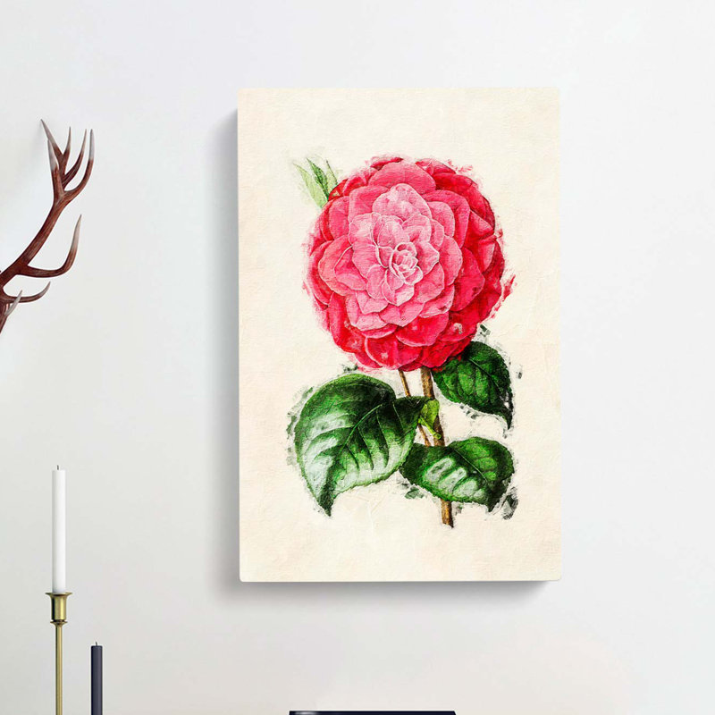 Illustration of a Pink Camellia Flower - Wrapped Canvas, 60cm H x 40cm W x 3cm D