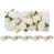 White n'est pas disponible