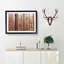 Red Forest In The Autumn - Single Picture Frame Painting on MDF-56627774-56627773