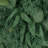 32.5" LEAVES TEARDROP WREATH