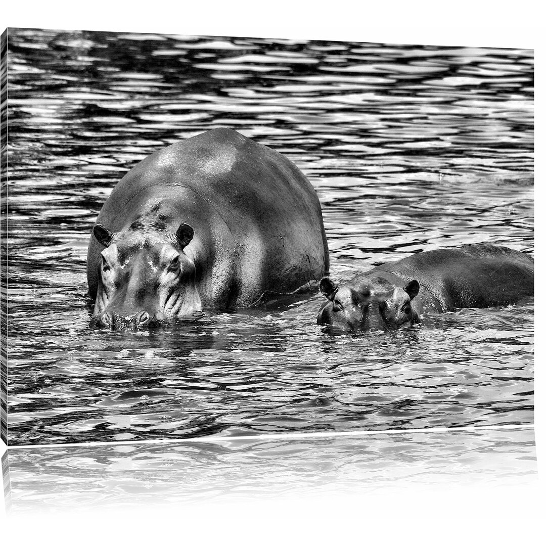 Leinwandbild Zwei Flusspferde im hohen Wasser in Monochrom