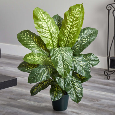  34in. Dieffenbachia Artificial Plant (Real Touch)