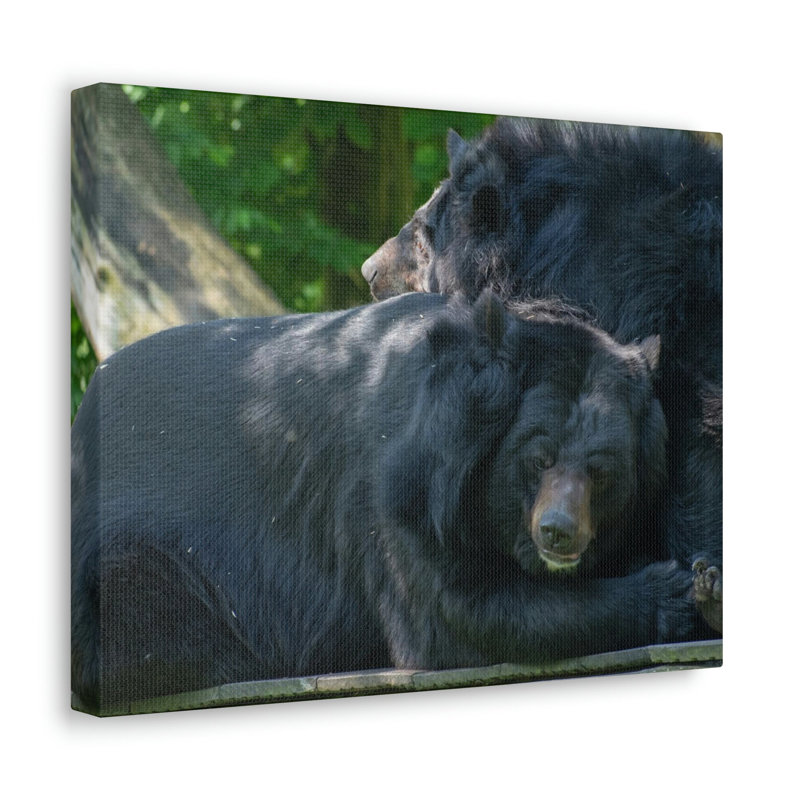 No Frame Print on Canvas, 30.48cm H x 45.72cm W