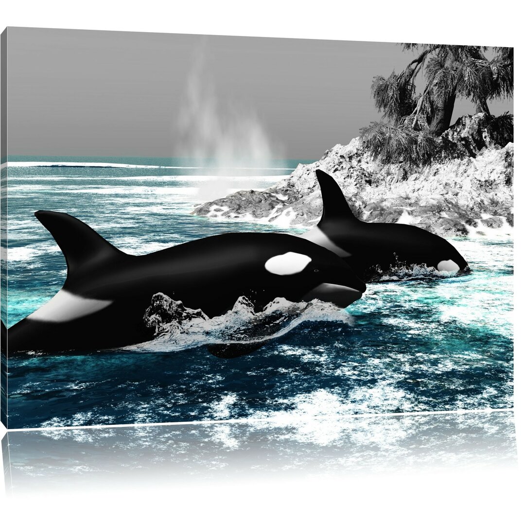 Leinwandbild ,,Orcas vor Insel", Grafikdruck